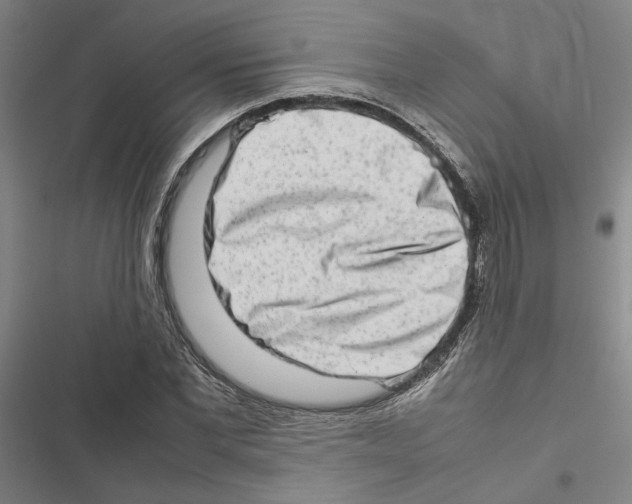 X0000116880877201001191742