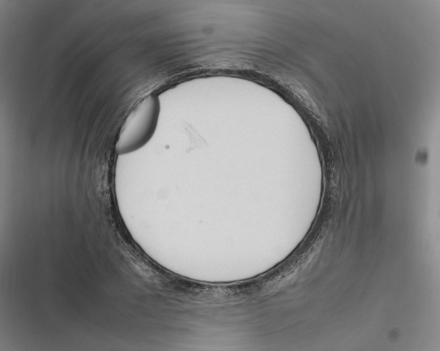X0000116880881201001191742