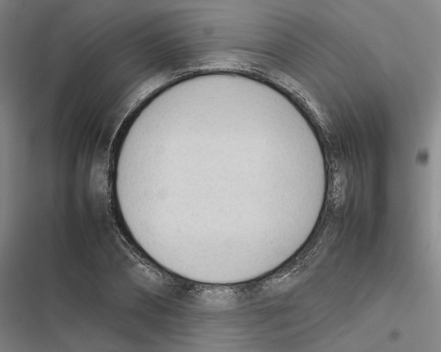 X0000116880882201001191741