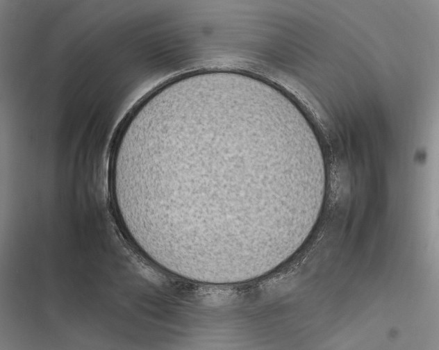 X0000116880886201001191741