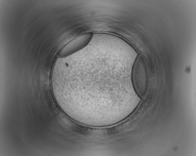 X0000116880889201001191741