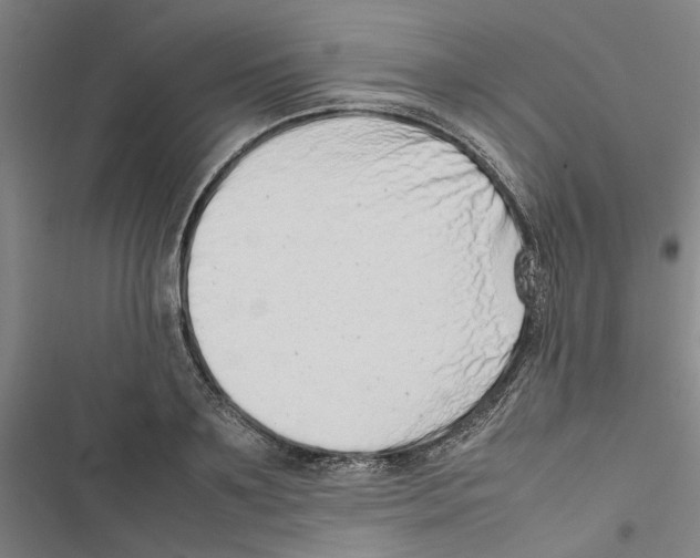 X0000116880891201001191741