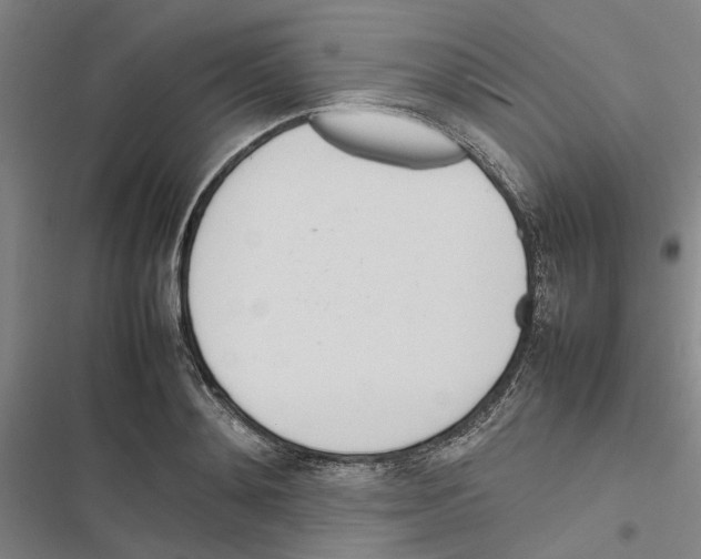 X0000116880892201001191741