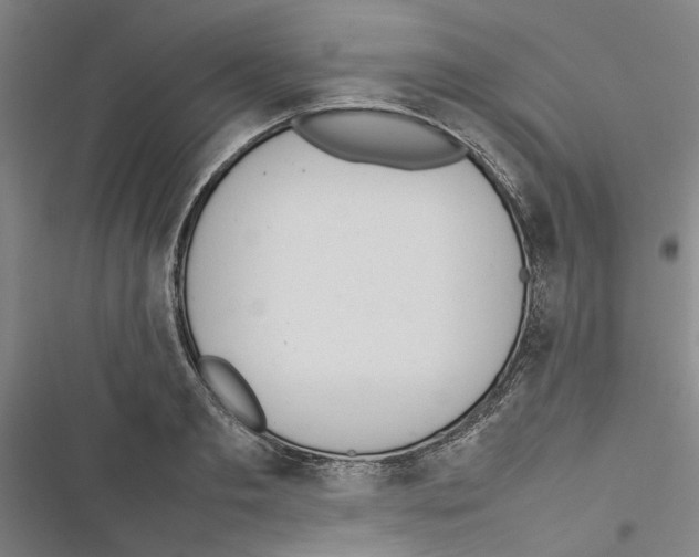 X0000116880893201001191741