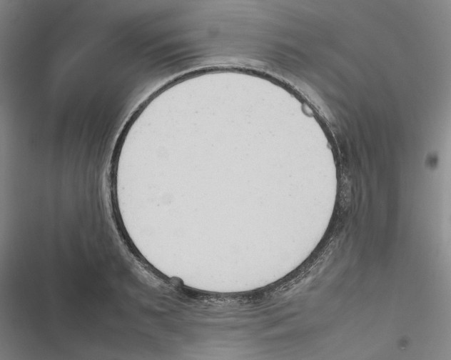 X0000116880895201001191741