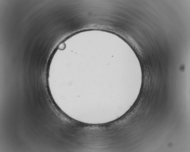 X0000116880896201001191741
