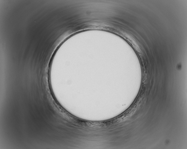 X0000116880899201001191741