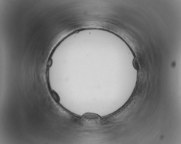 X0000116880901201001191741