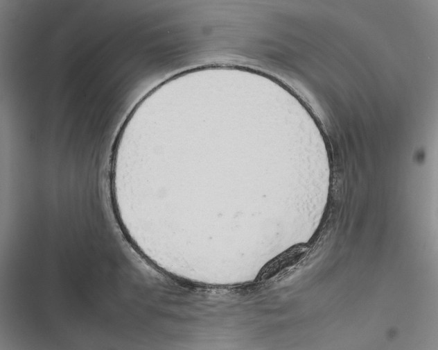 X0000116880903201001191741