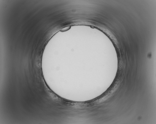 X0000116880905201001191741