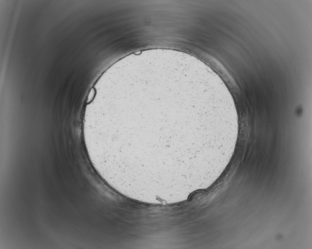 X0000116880908201001191741