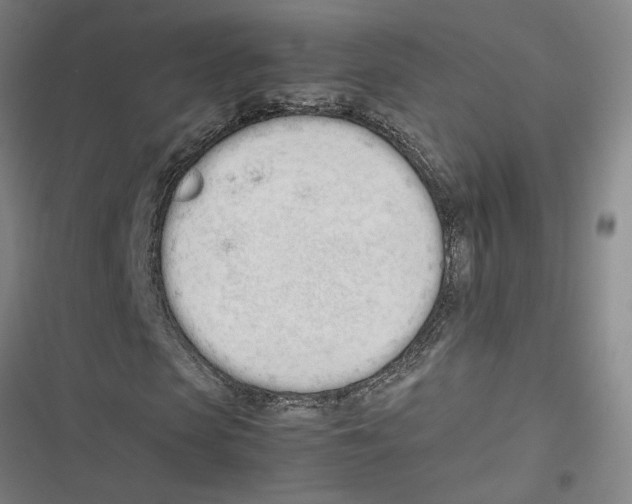 X0000116880913201001191740