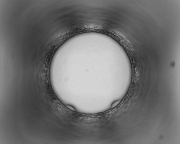 X0000116880917201001191740