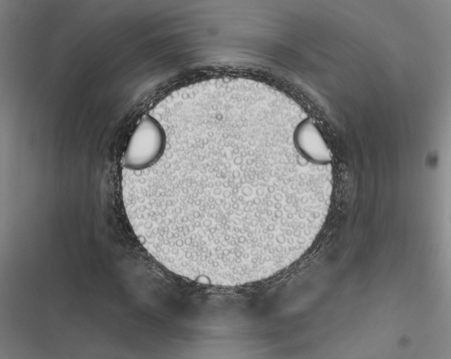 X0000116880918201001191740