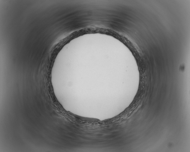 X0000116880919201001191741