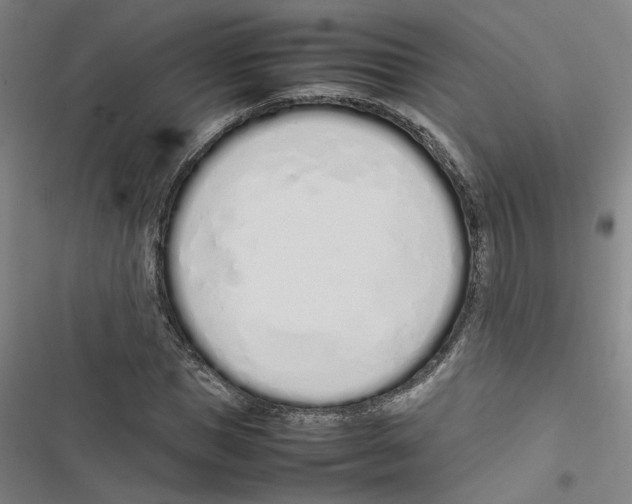 X0000116880921201001191741