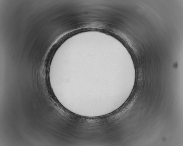 X0000116880923201001191741