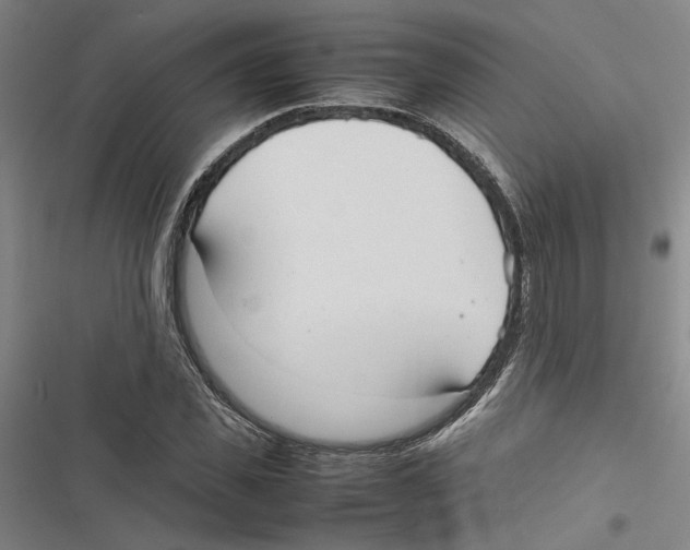 X0000116880925201001191741