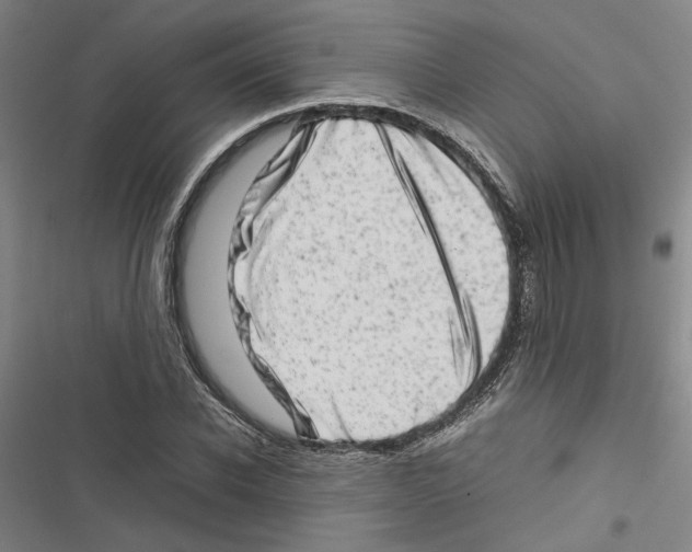 X0000116880926201001191741
