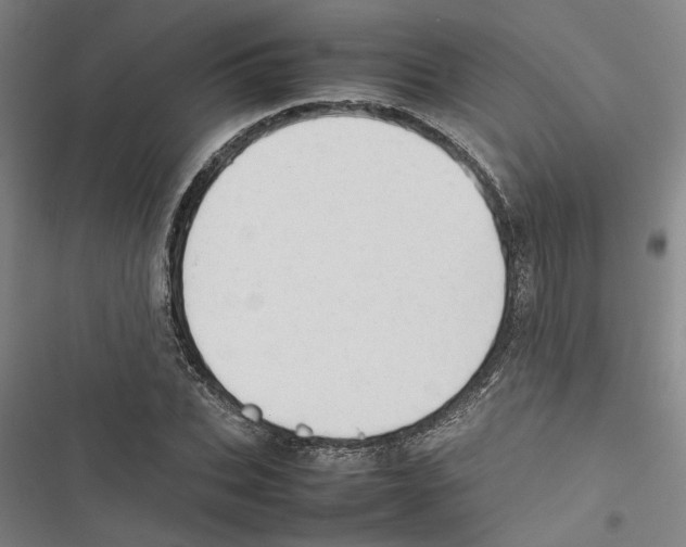 X0000116880927201001191741