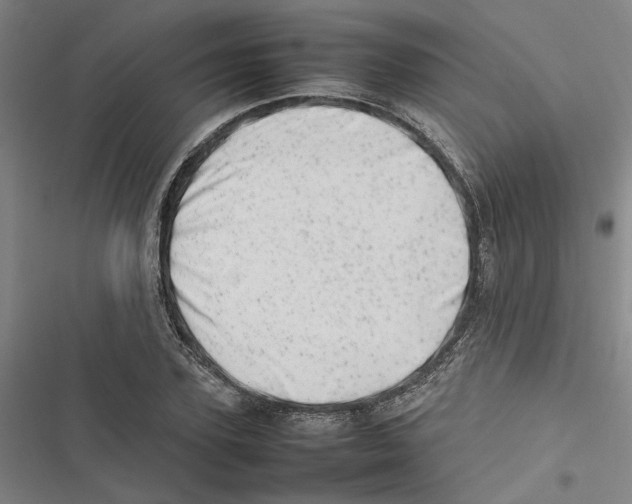 X0000116880931201001191741