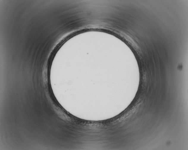 X0000116880934201001191741