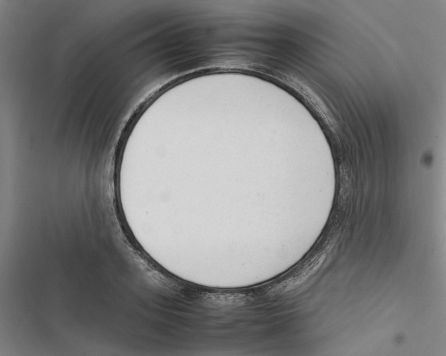X0000116880939201001191741