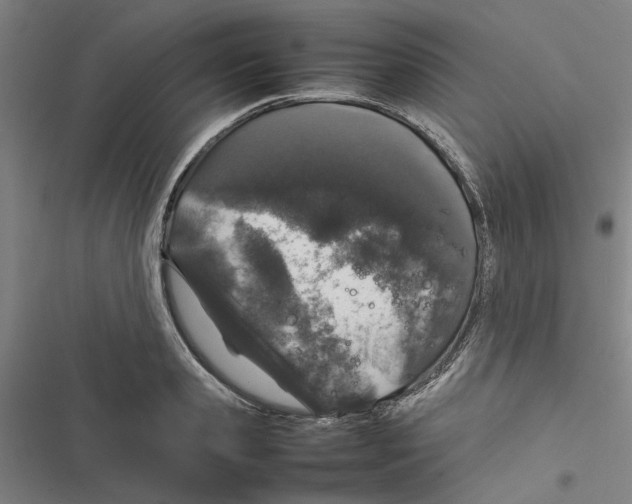 X0000116880941201001191741