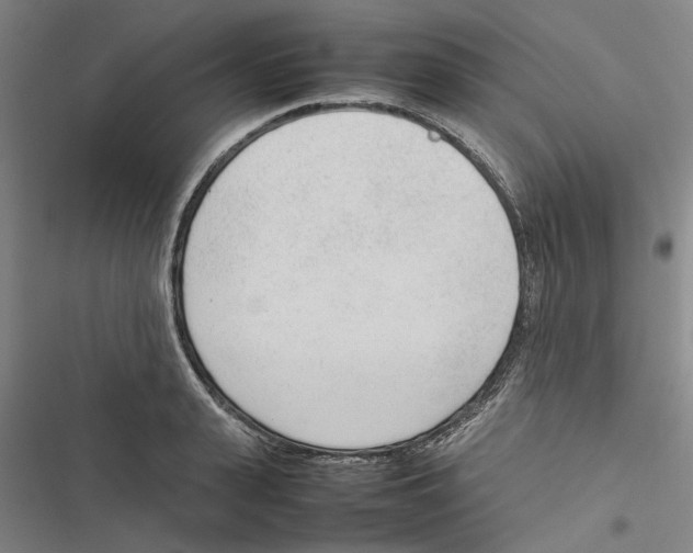 X0000116880943201001191741