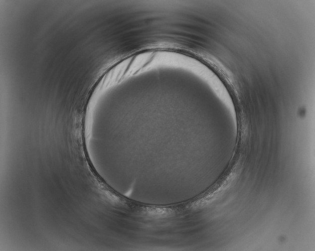 X0000116880945201001191741