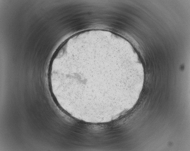 X0000116880947201001191741