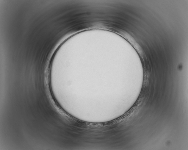X0000116880955201001191741