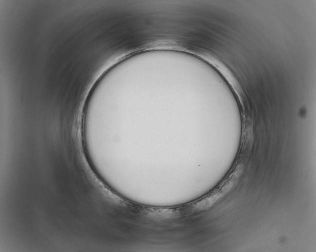X0000116880957201001191741