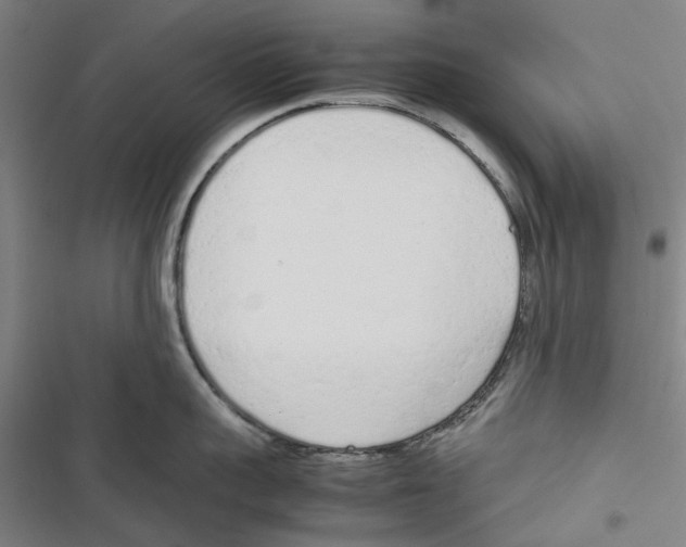 X0000116880959201001191741