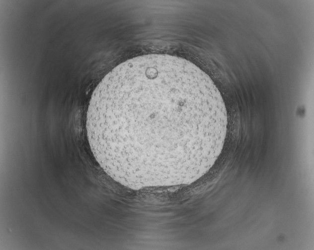 X0000116880962201001191740