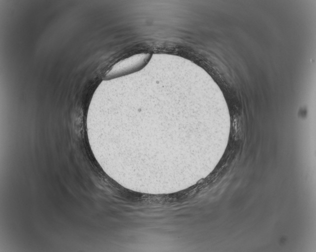 X0000116880963201001191740
