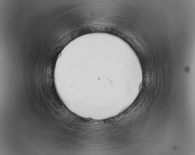 X0000116880964201001191740