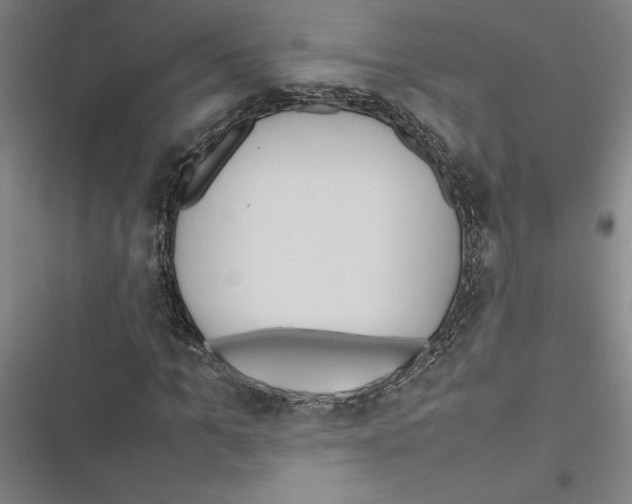 X0000116880965201001191740