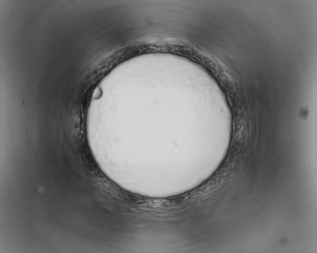 X0000116880966201001191740