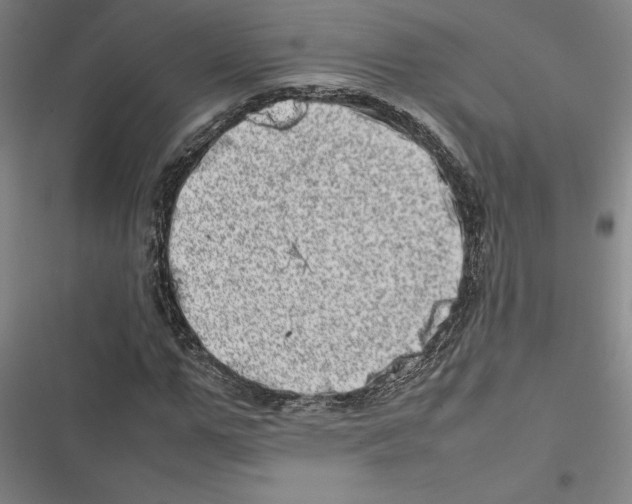 X0000116880967201001191740