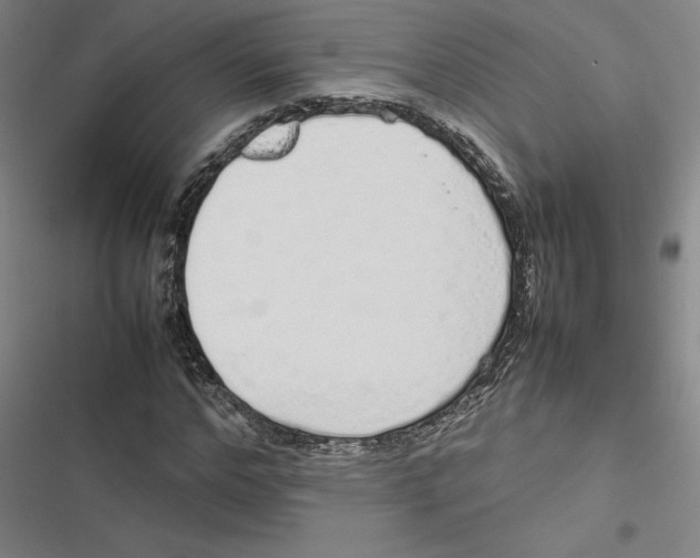 X0000116880968201001191740