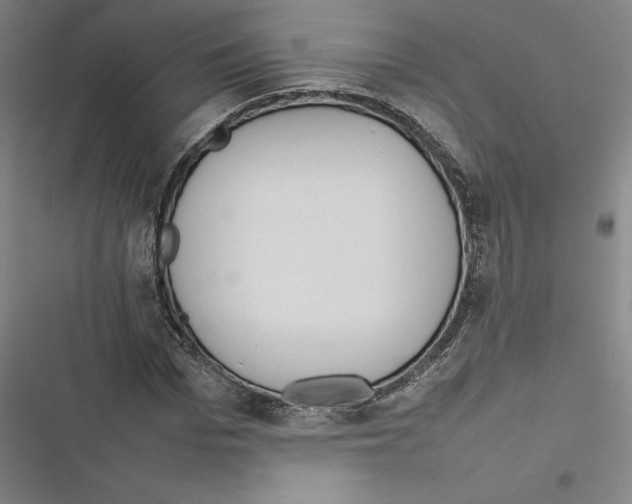 X0000116880969201001191740