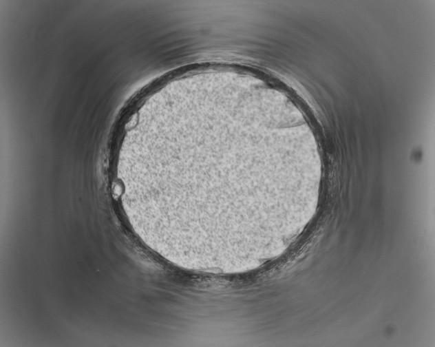 X0000116880971201001191740