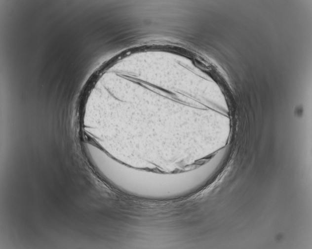 X0000116880973201001191740