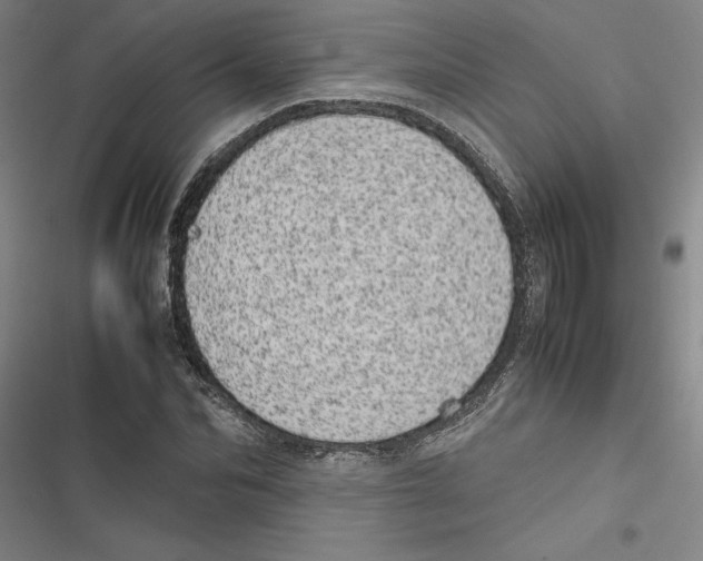 X0000116880974201001191740