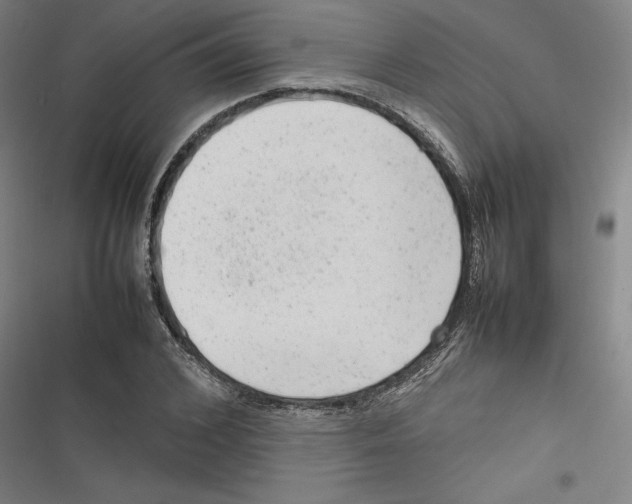 X0000116880976201001191740