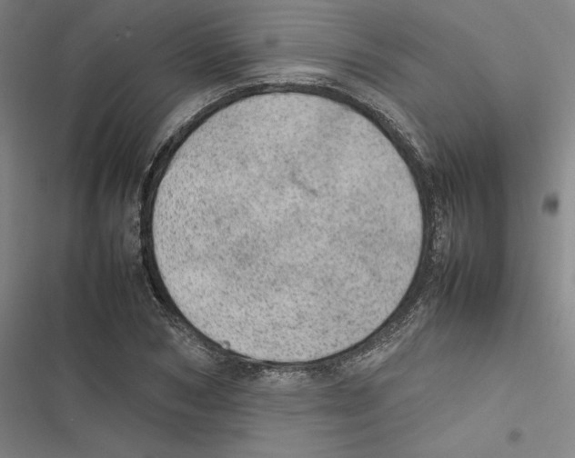 X0000116880978201001191740