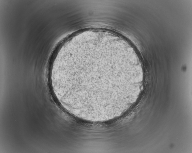 X0000116880979201001191740