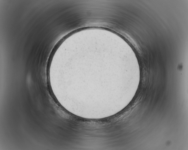 X0000116880980201001191740