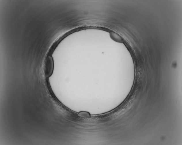 X0000116880981201001191740